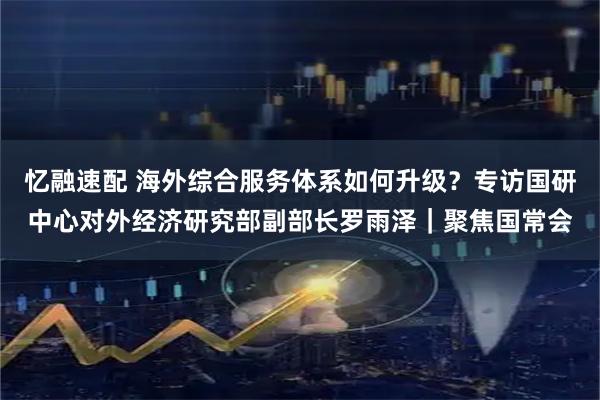 忆融速配 海外综合服务体系如何升级？专访国研中心对外经济研究部副部长罗雨泽｜聚焦国常会