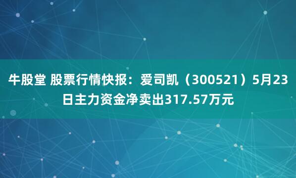 牛股堂 股票行情快报：爱司凯（300521）5月23日主力资金净卖出317.57万元