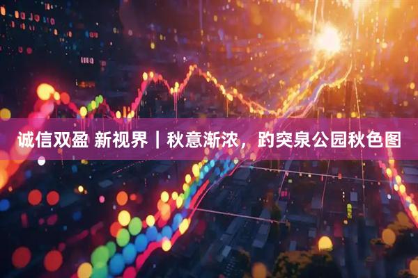 诚信双盈 新视界｜秋意渐浓，趵突泉公园秋色图