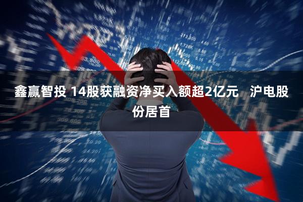 鑫赢智投 14股获融资净买入额超2亿元   沪电股份居首