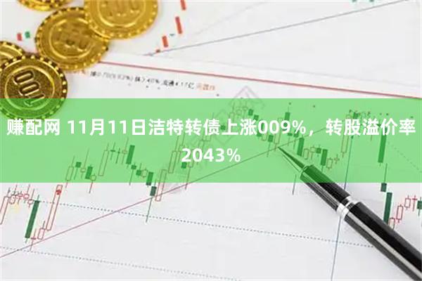 赚配网 11月11日洁特转债上涨009%，转股溢价率2043%